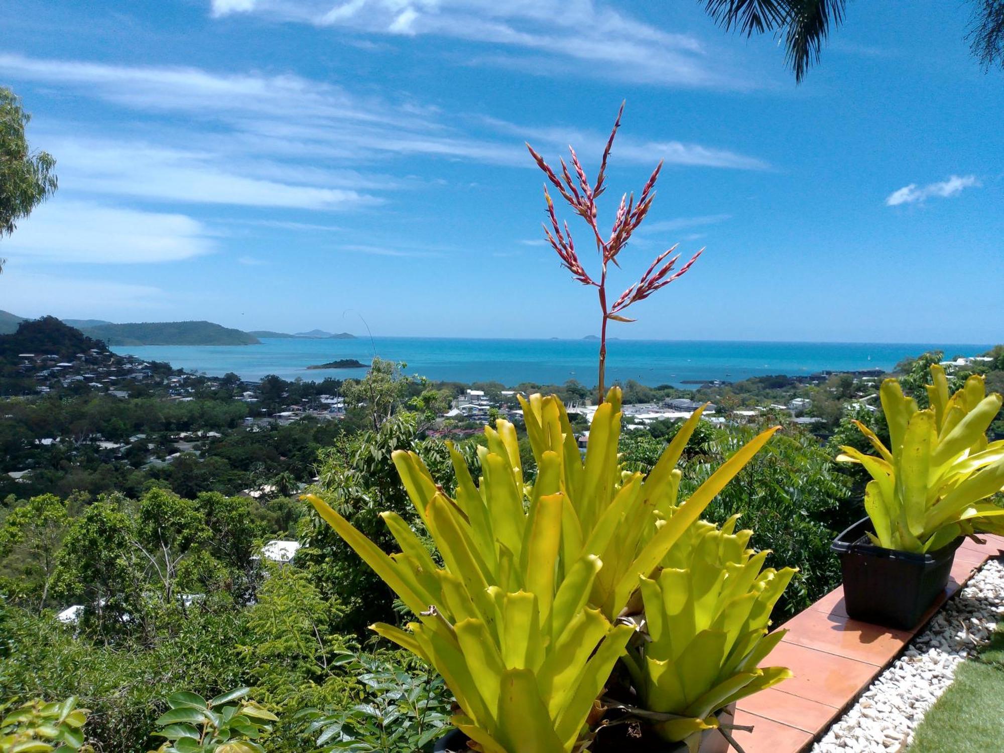 Hotel Yachtsmans Paradise, Whitsundays à Airlie Beach Extérieur photo